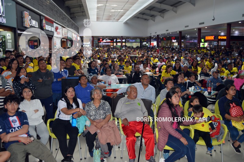 CUENCA-ELIMINATORIAS-HINCHAS-ECUADOR-URUGUAY