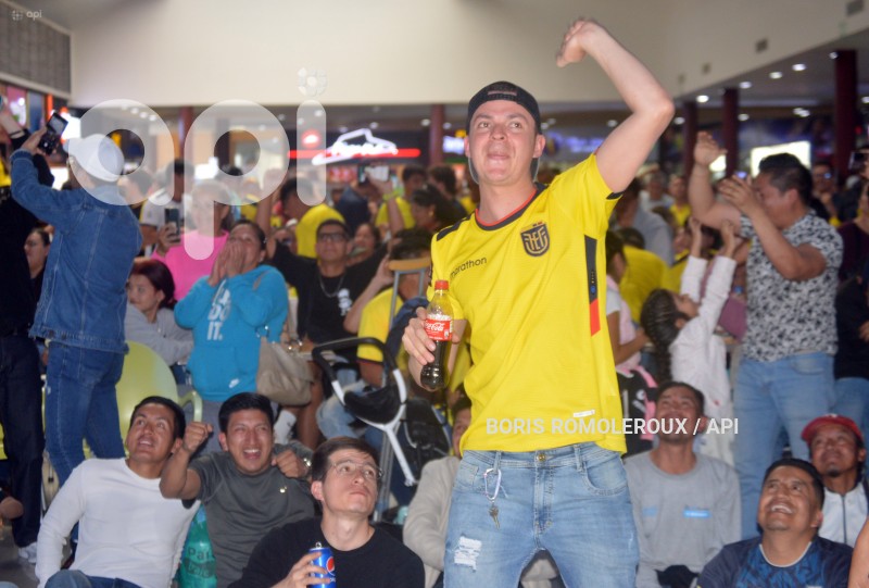 CUENCA-ELIMINATORIAS-HINCHAS-ECUADOR-URUGUAY