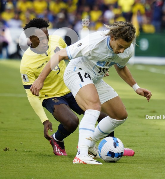 FBL - ELIMINATORIAS - ECUADOR - URUGUAY