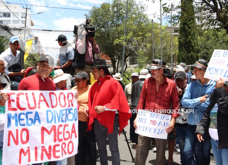 CONAIE-CORTE CONSTITUCIONAL