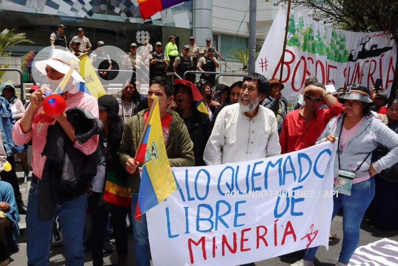 CONAIE-CORTE CONSTITUCIONAL