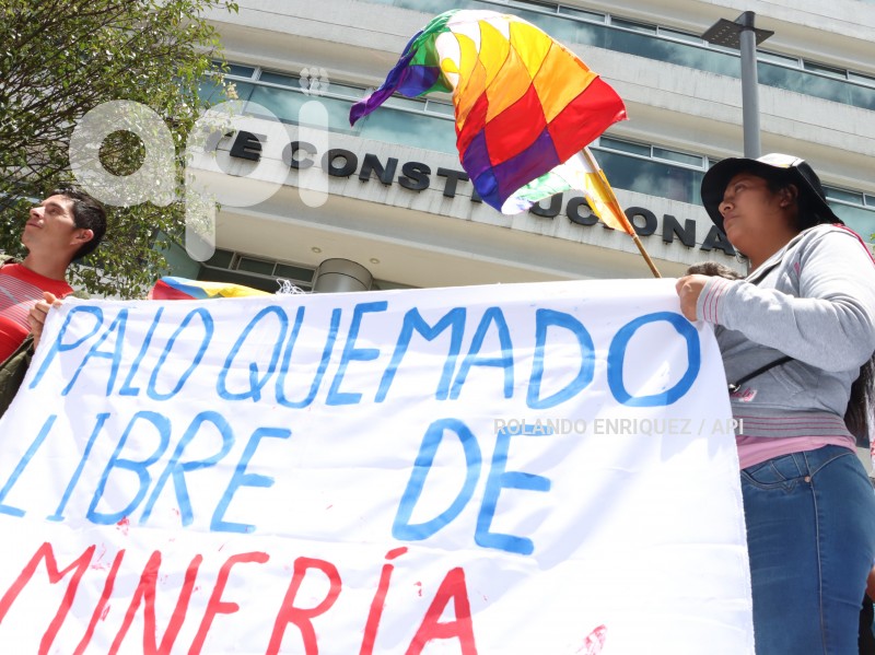 CONAIE-CORTE CONSTITUCIONAL