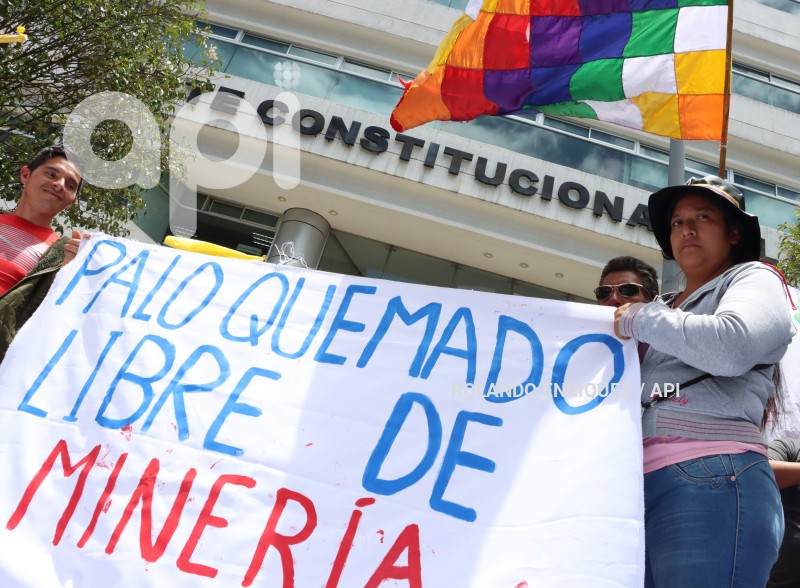 CONAIE-CORTE CONSTITUCIONAL