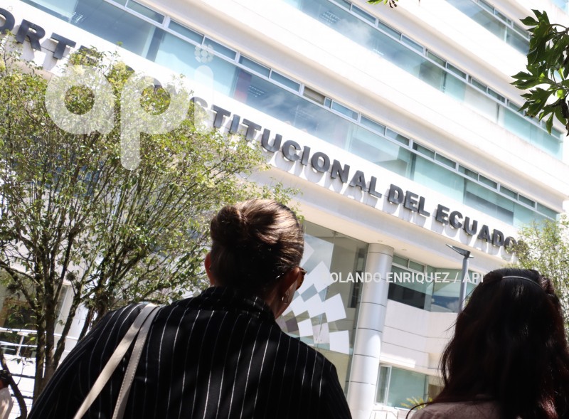 AUDIENCIA-CORTE-CONSTITUCIONAL-VOCALES-CPCCS