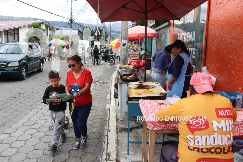 ELECCIONES-SEGURIDAD-OBSERVADORES-VENTAS