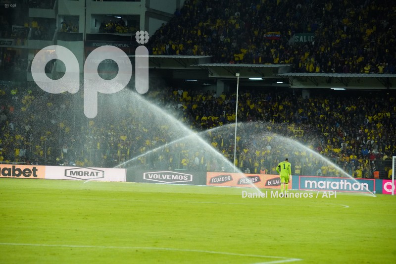 FBL-ELIMINATORIAS-ECUADOR-COLOMBIA