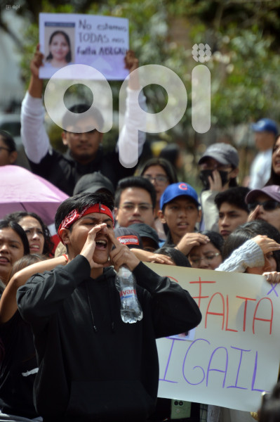 CUENCA-MARCHA Y PLANTON POR ABIGAL
