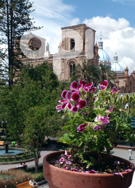 CUENCA 203 AÑOS INDEPENDENCIA