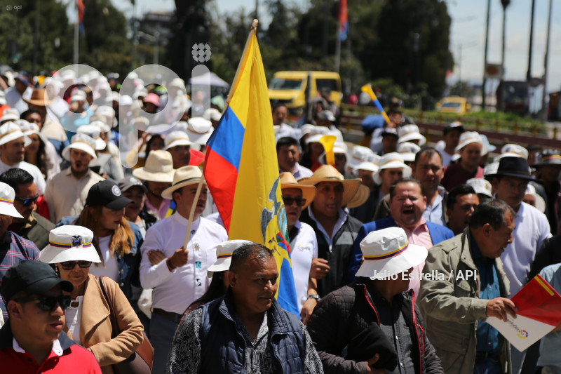 SOI CONAGOPARE MARCHA ARBOLITO CARONDELET RECORTE