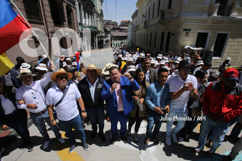 SOI CONAGOPARE MARCHA ARBOLITO CARONDELET RECORTE