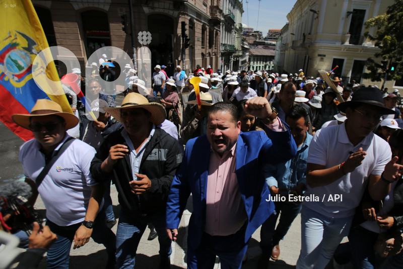SOI CONAGOPARE MARCHA ARBOLITO CARONDELET RECORTE