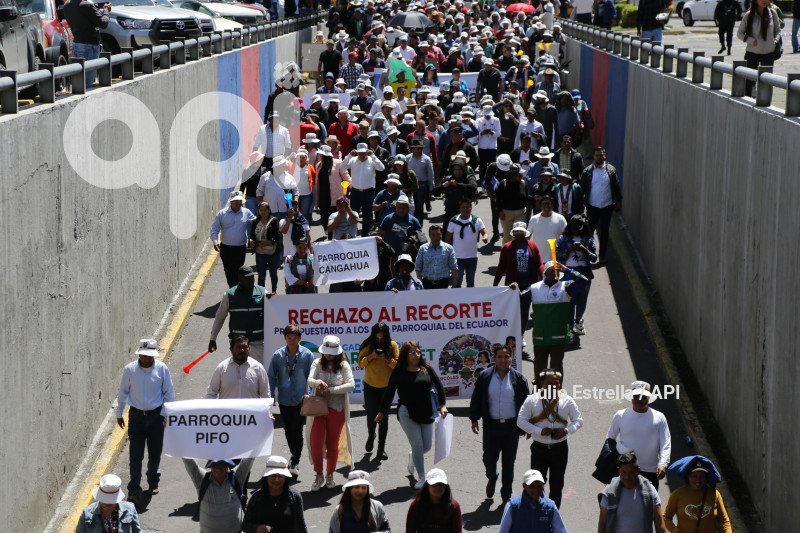 SOI CONAGOPARE MARCHA ARBOLITO CARONDELET RECORTE