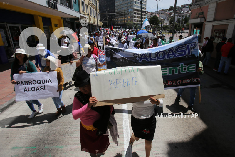 SOI CONAGOPARE MARCHA ARBOLITO CARONDELET RECORTE