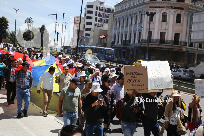 SOI CONAGOPARE MARCHA ARBOLITO CARONDELET RECORTE