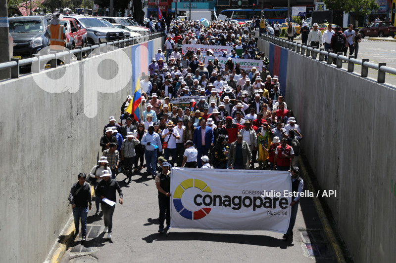 SOI CONAGOPARE MARCHA ARBOLITO CARONDELET RECORTE