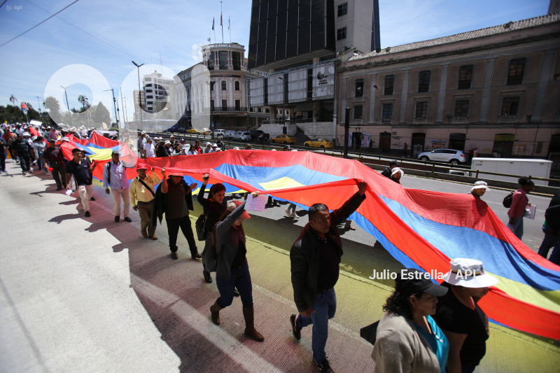SOI CONAGOPARE MARCHA ARBOLITO CARONDELET RECORTE