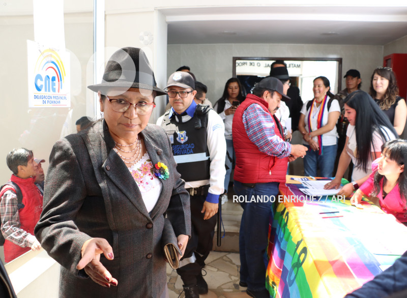 ELECCIONES PACHAKUTIK