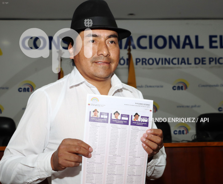 ELECCIONES PACHAKUTIK
