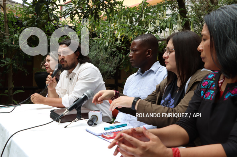 ACCION ECOLOGICA INCUMPLIMIENTO OIT ART 169