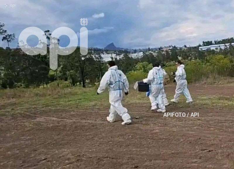 CUENCA-CASO ABIGAIL