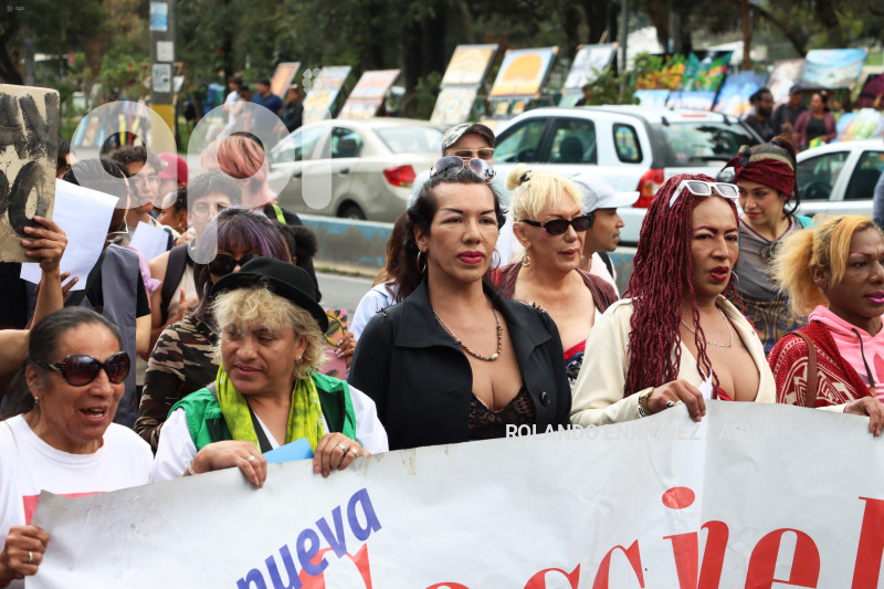 MARCHA POR LOS DERECHOS TRANSGENERO