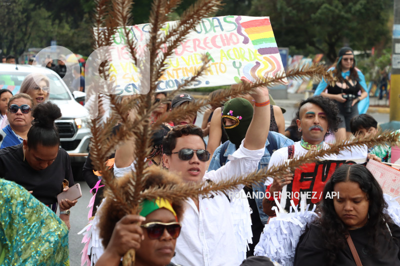 MARCHA POR LOS DERECHOS TRANSGENERO