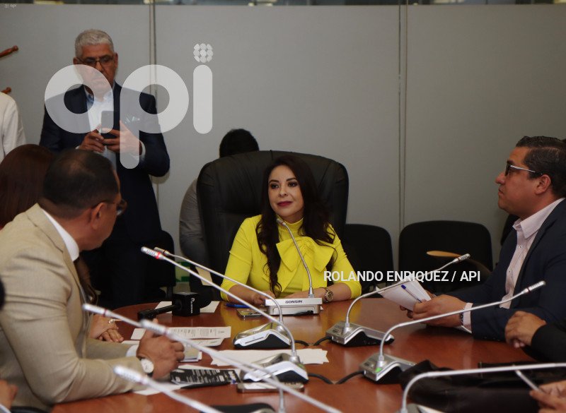 ELECCION COMISIONES PERMANENTES ASAMBLEA