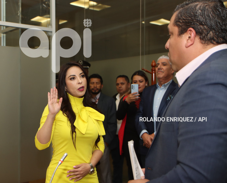 ELECCION COMISIONES PERMANENTES ASAMBLEA