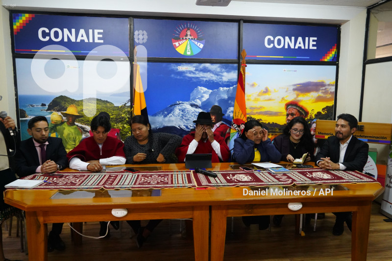 CONAIE INCOSTITUCIONABILIDAD DECRETO 754