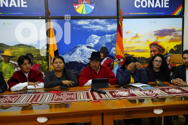CONAIE INCOSTITUCIONABILIDAD DECRETO 754