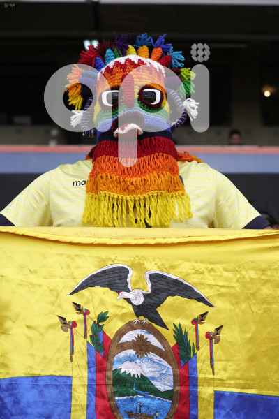 FBL-ELIMINATORIAS-ECUADOR-CHILE