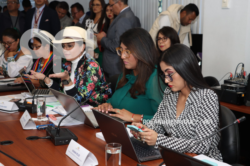 ASAMBLEA-COMISION-TRANSPARENCIA-PARTICIPACION-CIUDADANA