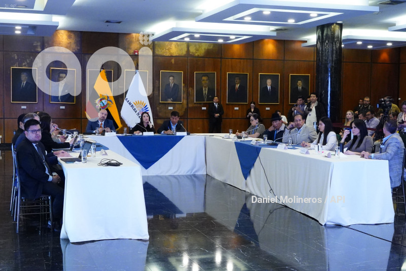 ASAMBLEA COMISION FISCALIZACION CRISIS ENERGETICA
