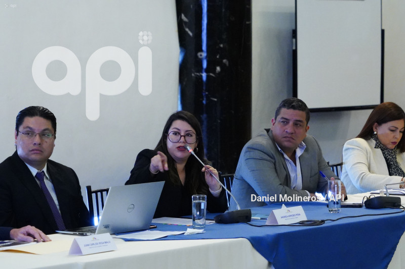 ASAMBLEA COMISION FISCALIZACION CRISIS ENERGETICA