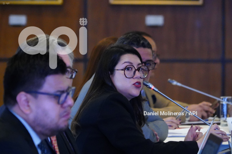 ASAMBLEA COMISION FISCALIZACION CRISIS ENERGETICA