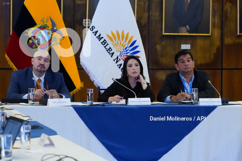 ASAMBLEA COMISION FISCALIZACION CRISIS ENERGETICA