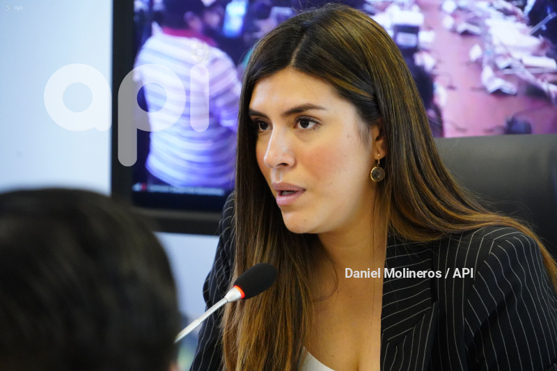 ASAMBLEA COMISION DESARROLLO ECONOMICO