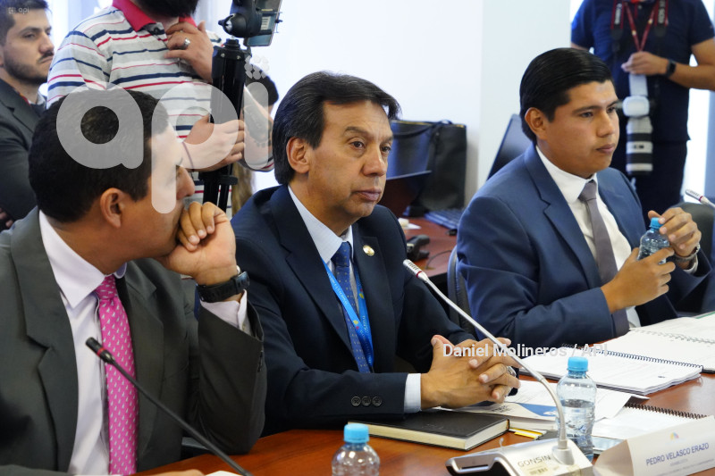 ASAMBLEA COMISION DESARROLLO ECONOMICO