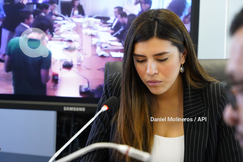 ASAMBLEA COMISION DESARROLLO ECONOMICO