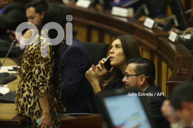 ASAMBLEA PRIMER DEBATE LEY ECONOMICA