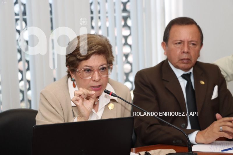 COMISION-TRABAJO-ATAMAINT-MIN-IVONNE-NUNEZ