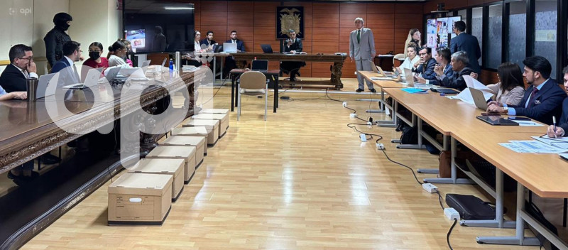AUDIENCIA TERAN METASTASIS