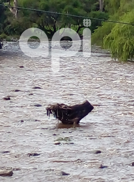 CUENCA-CAUDAL RIOS NORMALES POR LLUVIAS