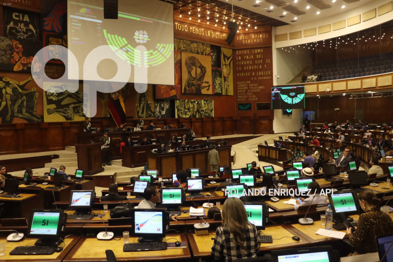 ASAMBLEA-APROBACION-APOYO-FUERZAS-ARMADAS-SEGURIDAD