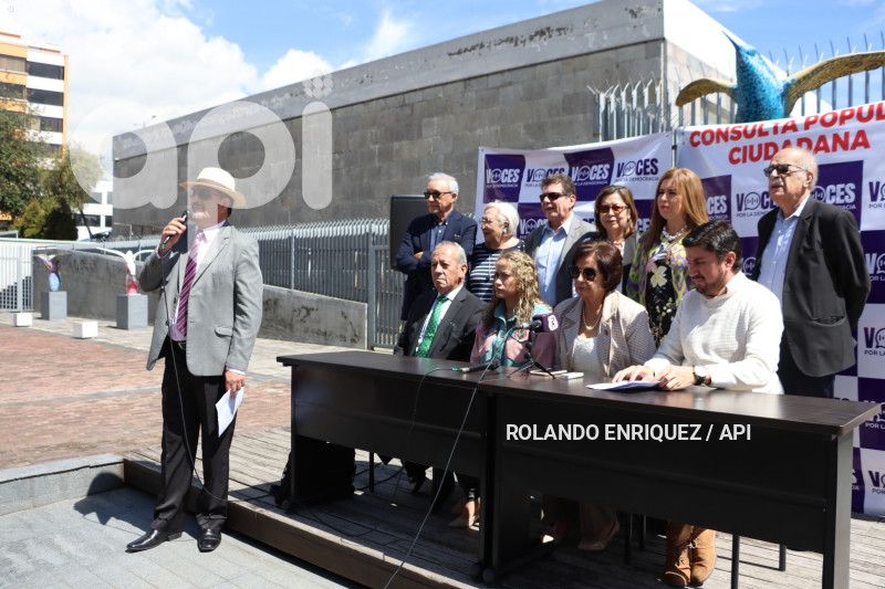 VOCES-DEMOCRACIA-PREGUNTAS-CONSULTA