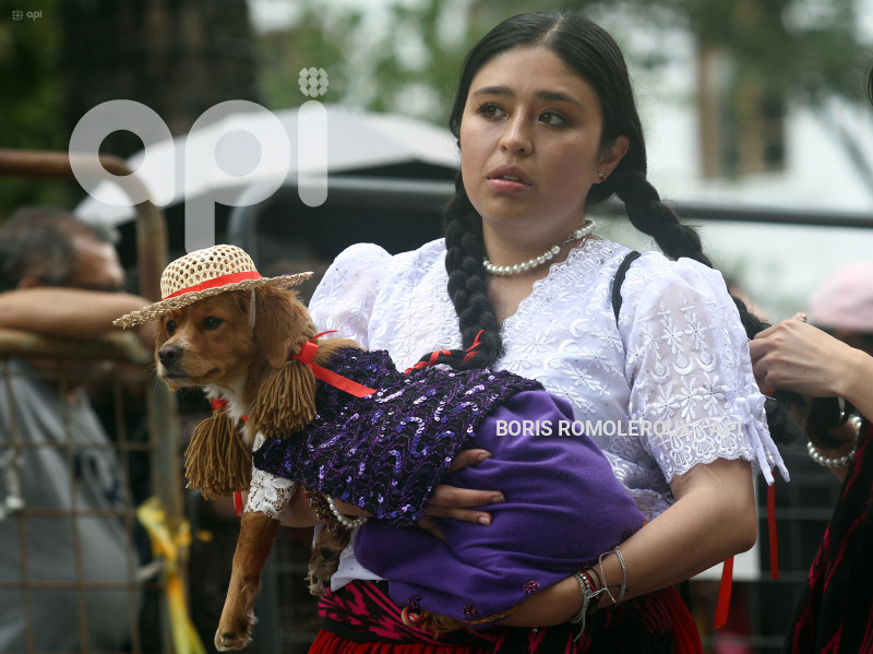 CUENCA-PASE NIÑO VIAJERO