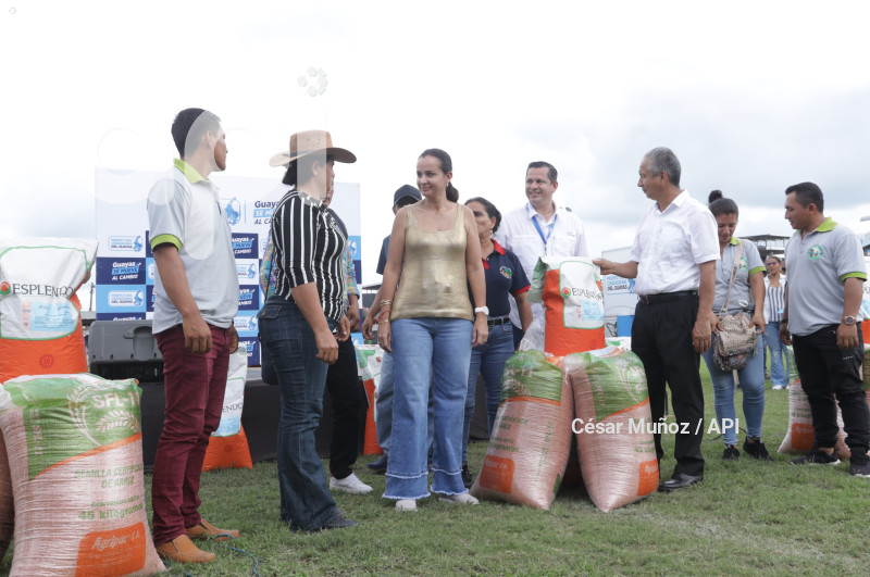 GYE-SEMILLAS CERTIFICADAS