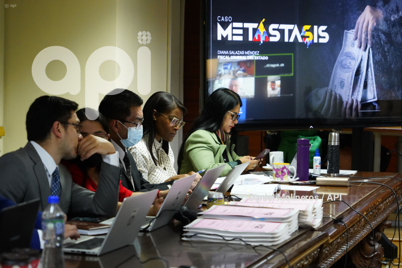 AUDIENCIA VINCULACION METASTASIS