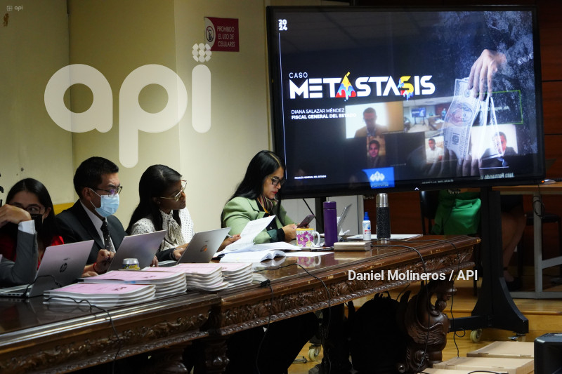 AUDIENCIA VINCULACION METASTASIS