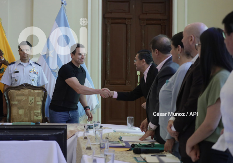 GYE-CONSEJO SEGURIDAD